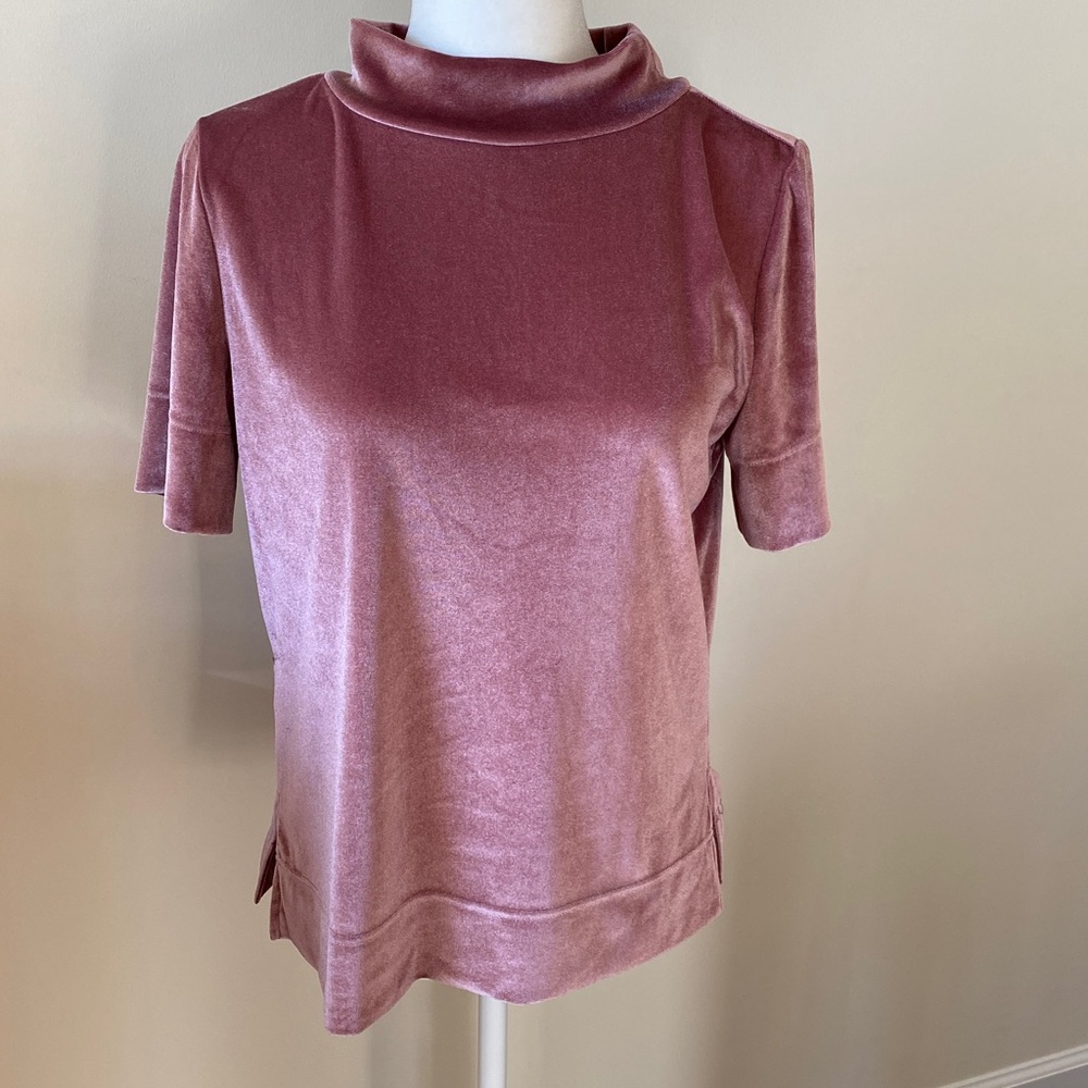 Anthropologie Velvet Mock Neck Krisha Short Sleeve Top Dusty Rose Small